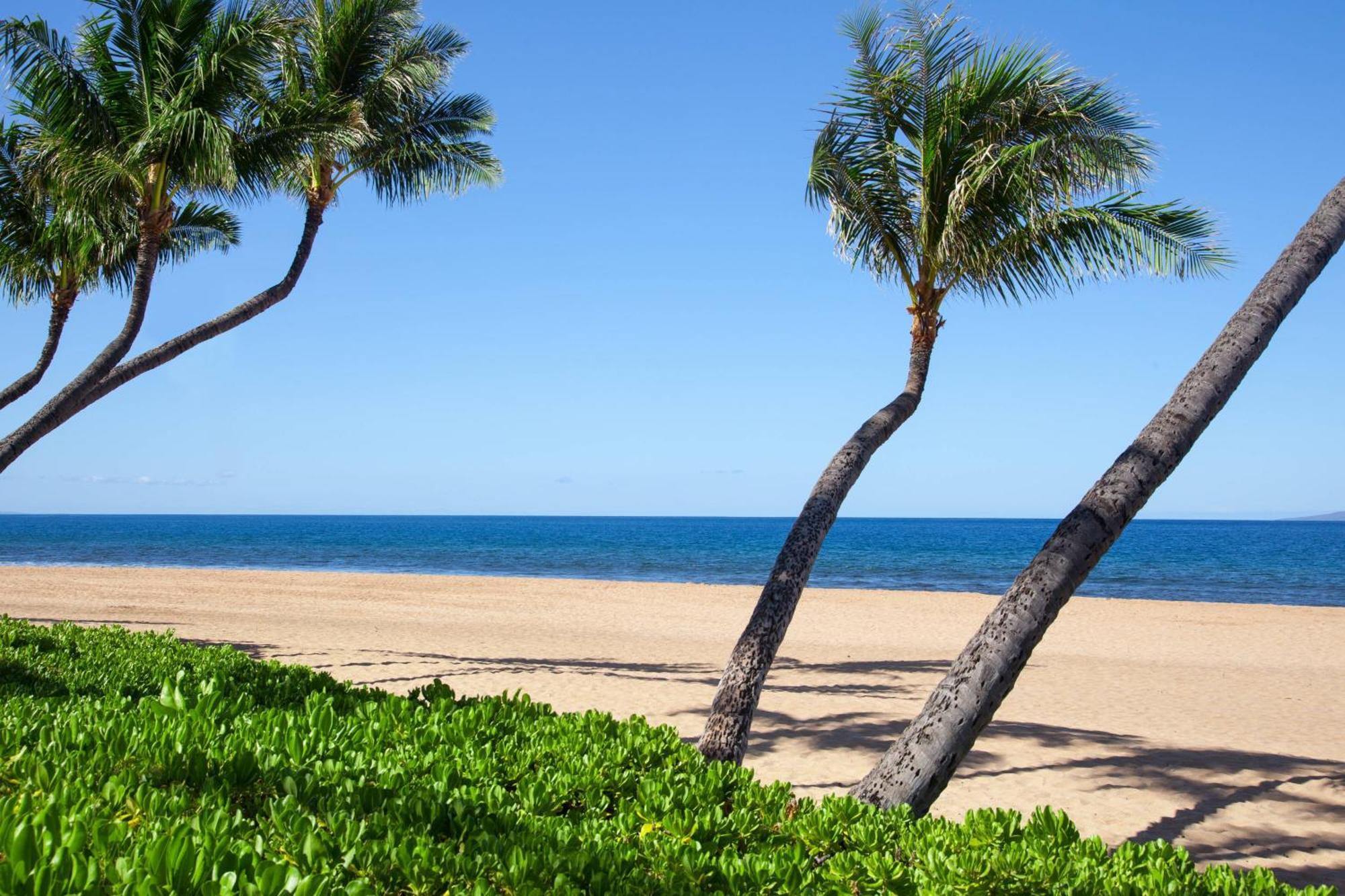 Marriott'S Maui Ocean Club - Molokai, Maui & Lanai Towers Hotel Lahaina Eksteriør billede